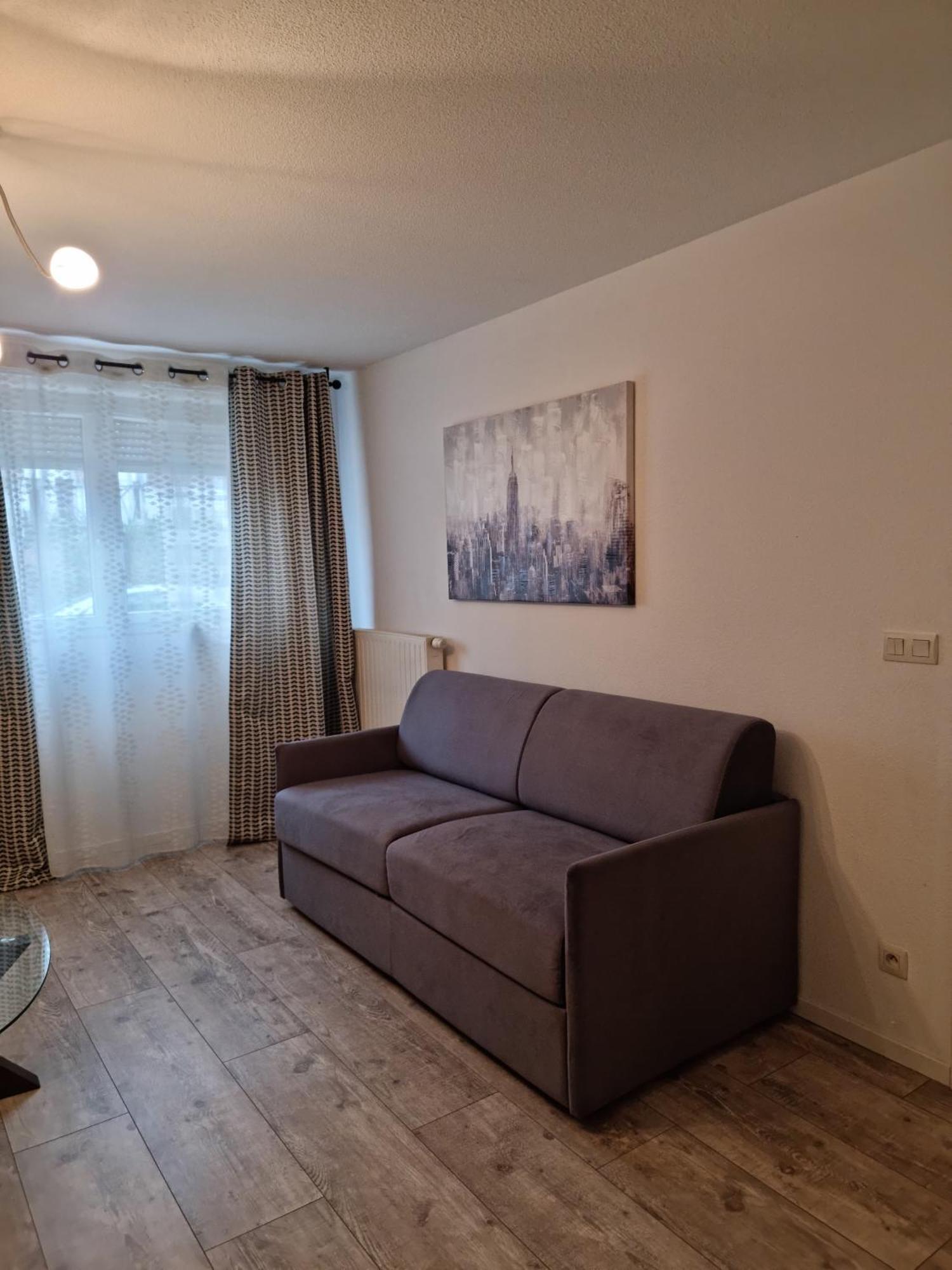 Residence Villa D'Ambre Κολμάρ Εξωτερικό φωτογραφία